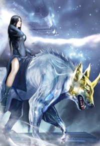 蝙蝠合集
